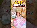 She Couldn’t Get Up… So Her Cats Became Her Nurses! 😻 #exlittlebeans #funnyshorts #cat