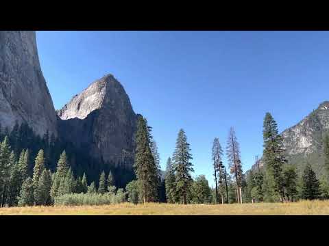 Video: Taman Nasional Dekat San Francisco