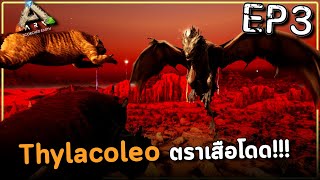 Thylacoleo ตราเสือโดด!!! - ARK: Scorched Earth #3