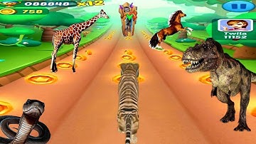 Tiger Run Game : Animal Runner Game | Android/iOS Gameplay HD
