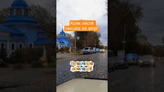 Мукачево сьогодні | Коли листя танцює на вітрі🔴 #закарпаття #мукачево #осінь #україна #ukraine #топ