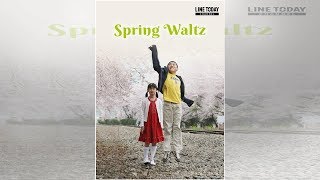 K-Drama Spring Waltz (Subtitle Indonesia) EP 1-20