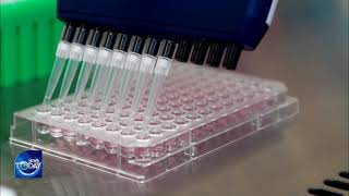 GOVT TO INVEST IN VACCINE DEVELOPMENTS (News Today,  COVID-19) l KBS WORLD TV 210806