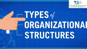 Understanding Organisational Structure | Talent and Skills HuB