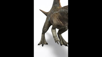 Spinosaurus Google View in 3D with Argumented Reality AR available - Wild Animals