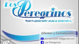 Video thumbnail of "Grupo Los Peregrinos - Dime Dime"