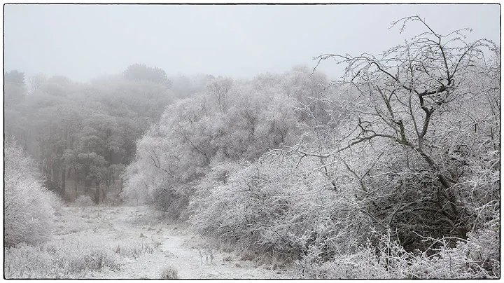 Landscape photography in freezing fog