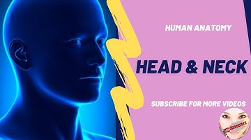 Human Anatomy - Head and Neck - Introduction