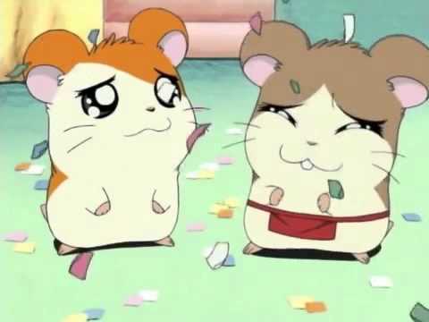 Thumb of Hamtaro video