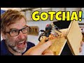 How to Make a Spider Scare Box. Hilarious Prank!
