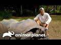 Frank visita dois importantes santuários de vida selvagem | Wild Frank | Animal Planet Brasil