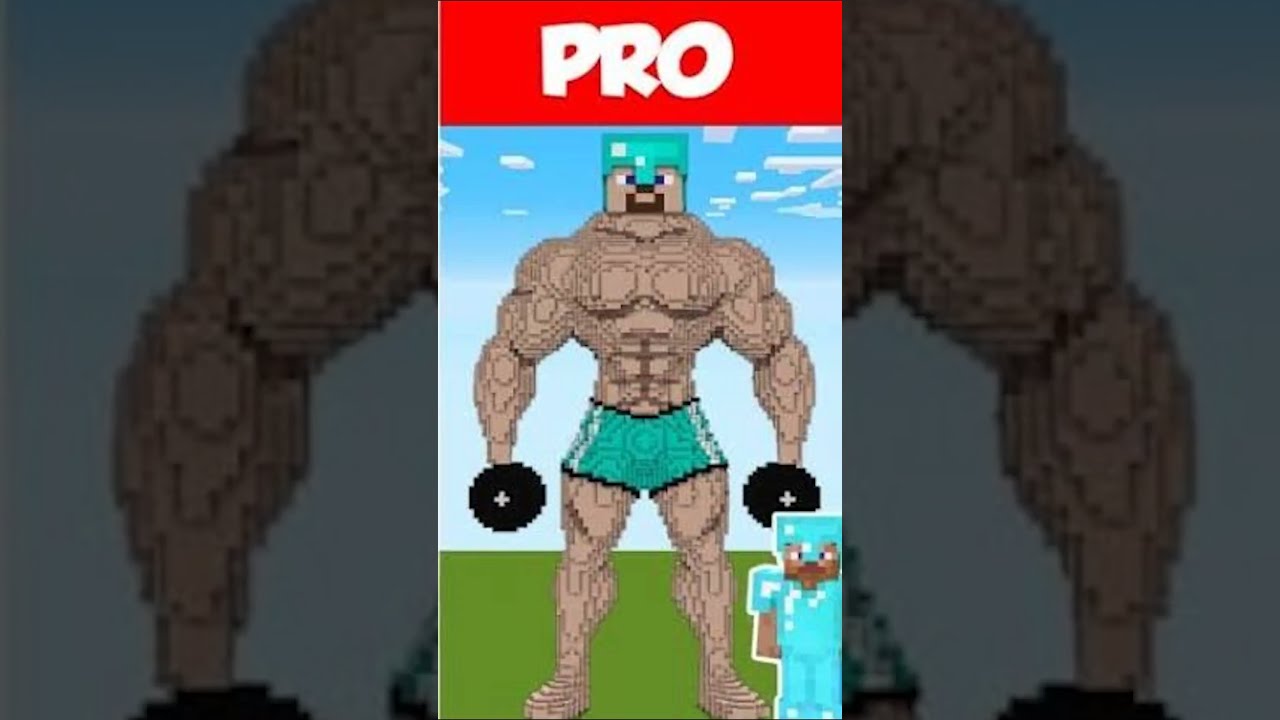 Minecraft NOOB Vs PRO HACKER GOD House Build Challenge Noobvsprovshackervsgod Op