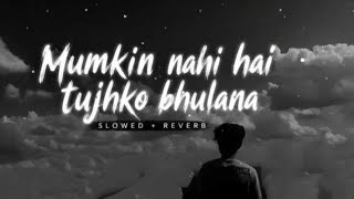 Mumkin nhi hai tujhko bhulana 🥺 || [Slowed Reverb] Best sad lofi song||#viralvideo #youtuber#youtube