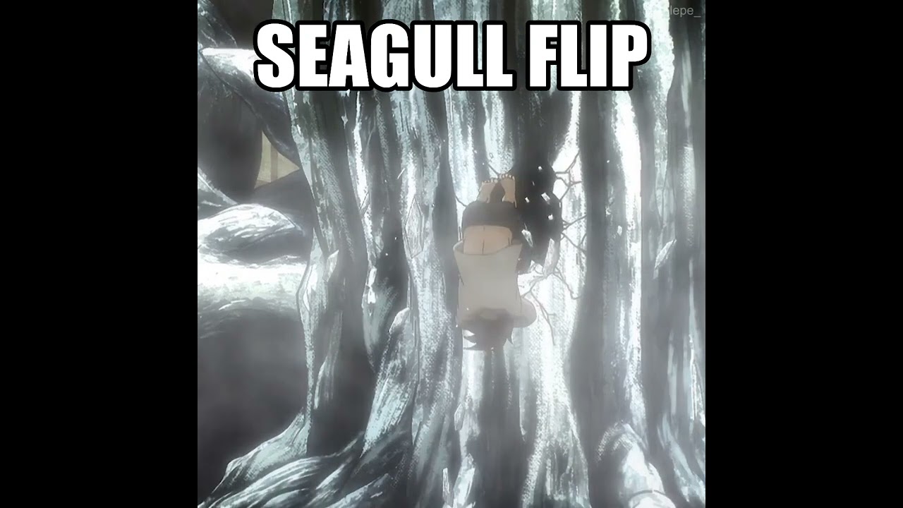 eren goes seagull flip