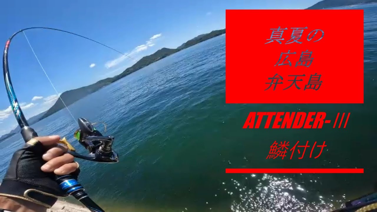 真夏の広島湾は弁天島でアテンダー３の鱗付け