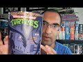 Saturday Morning Adventures Teenage Mutant Ninja Turtles #15 REVIEW