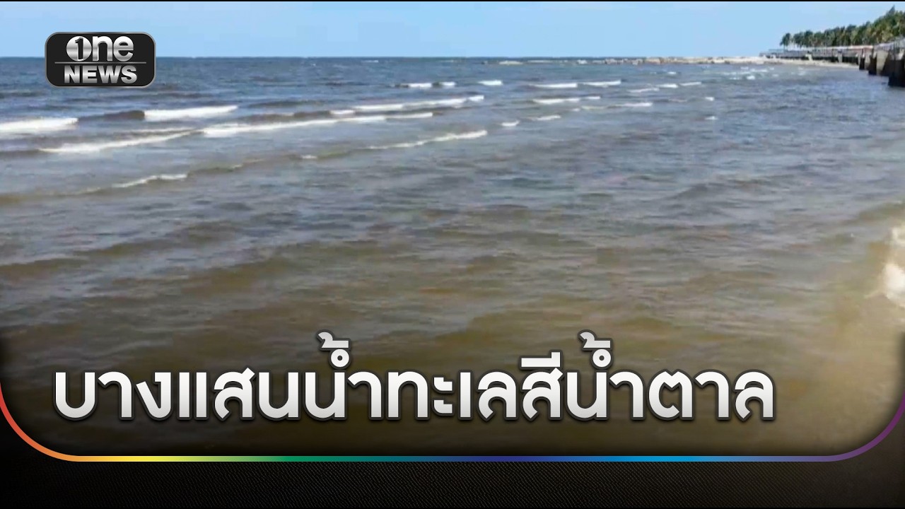 หยุดยาวแห่เที่ยวบางแสน เจอน้ำทะเลสีน้ำตาล | ข่าวช่องวันเสาร์-อาทิตย์ | สำนักข่าววันนิวส์