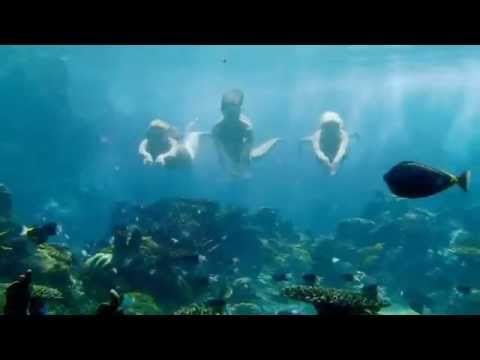 Mako Mermaids:Season 1 Opening