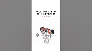 The ONLY Spine Mobility Exercises You Need!