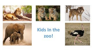 Animals sounds with real images, an android app screenshot 5