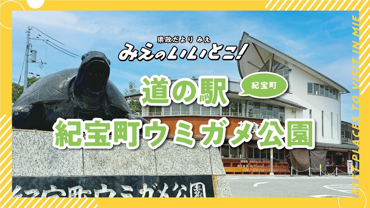 道の駅 紀宝町ウミガメ公園（令和7年6月号）