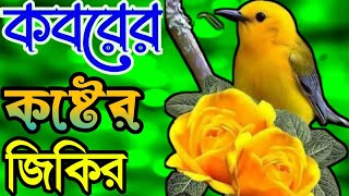 খুবই দুখের মন জুড়ানো কবরের নতুন জিকির লা ইলাহা ইল্লাল্লাহ জিকির শুণলে কলীজা ঠাণ্ডা পানি || banggla