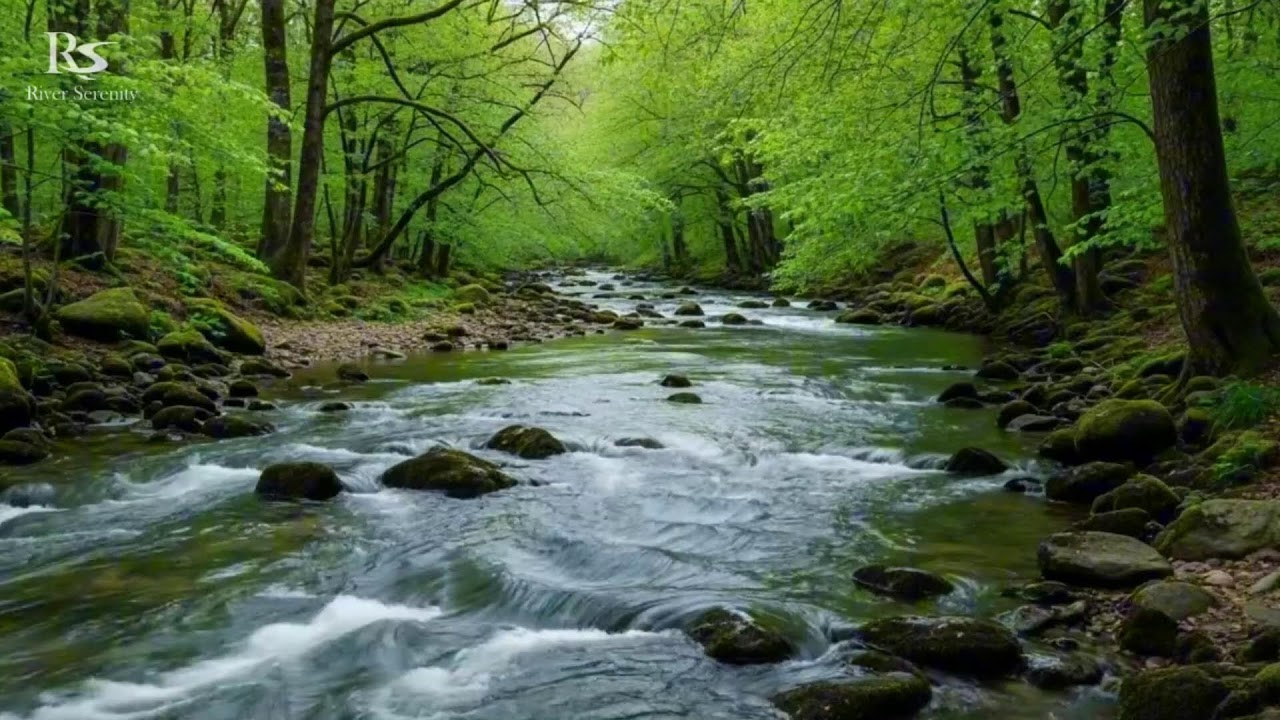 Calm Night River Sounds Sleep Stream with Natural Water Flow Ambience for Deep Rest