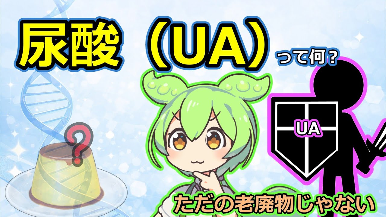 【ゆっくり解説】尿酸（UA）って何？老廃物なのに体を守る
