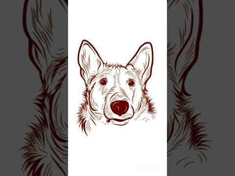 رسم وجه كلب Drawing Art Shortvideo Shorts Youtubeshorts 