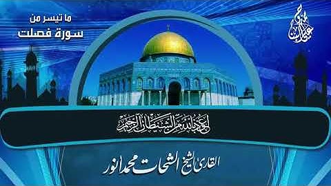 سورة فصلت   الشيخ الشحات محمد أنور رحمه الله