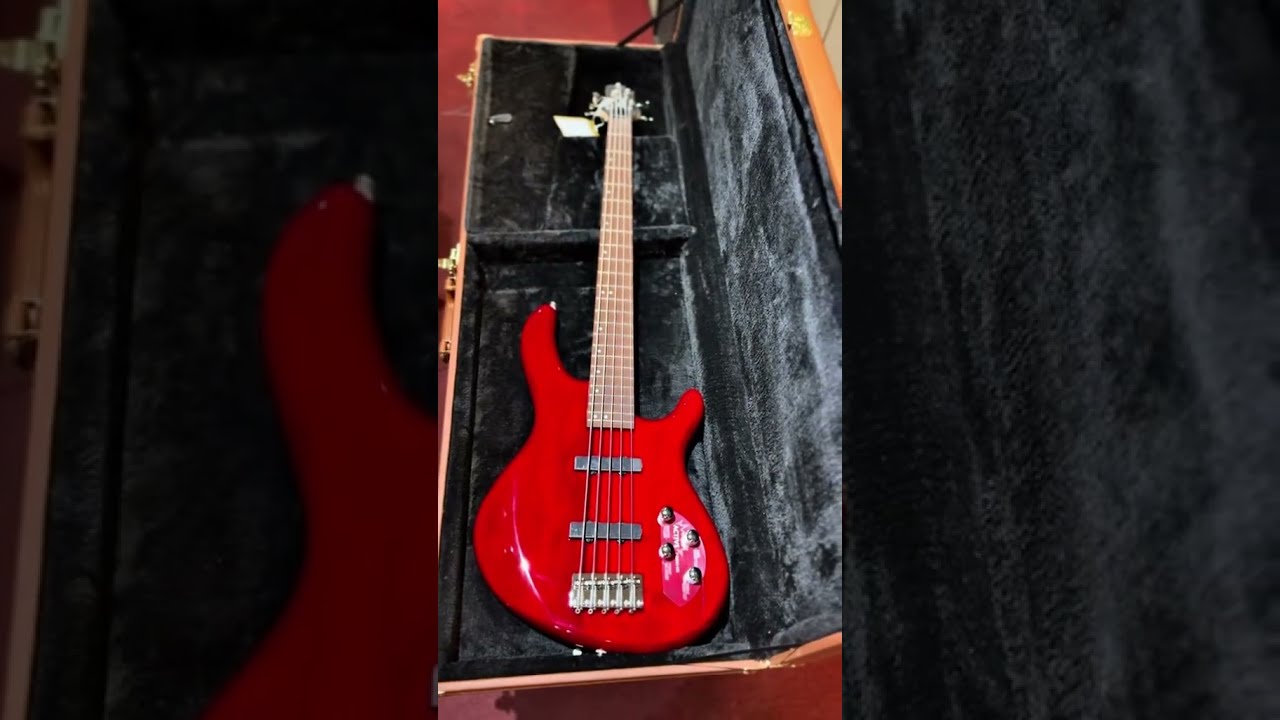 CORT ACTION エレキギター レッド コートアクション Cort Action Bass V Plus Bass Guitar with Bag - Trans Red