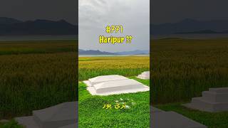 Haripur Unknown Location? Vlog 771 #Haripur #KashifAfridi #Taxila
