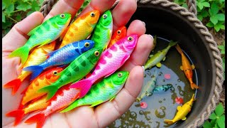 Unboxing IKan Hias Warna Warni,Ikan Cupang,Ikan Koi,Ikan Komet,Ikan Koki,Kura Kura Brazil,Gupy