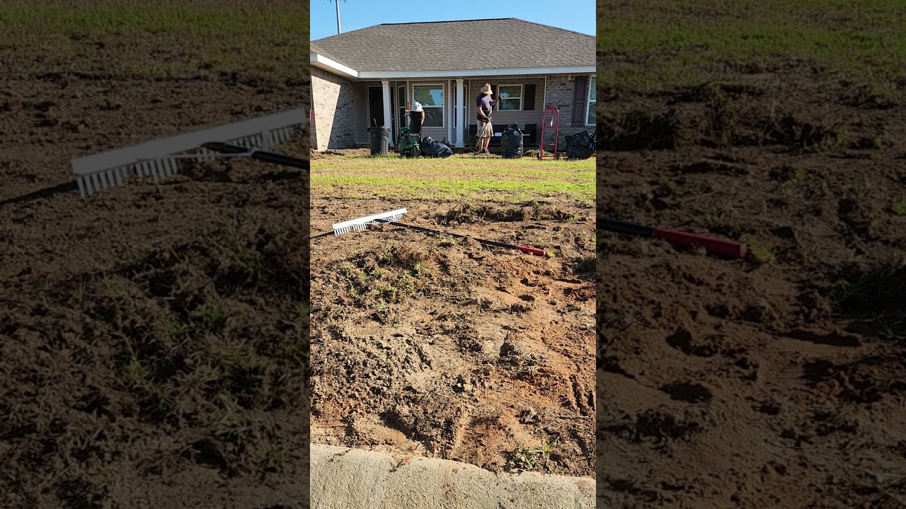 Tear out of old grass to install new sod