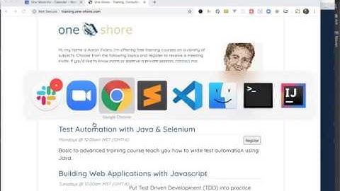 Test Automation with Java & Selenium 2 - finding elements and debugger