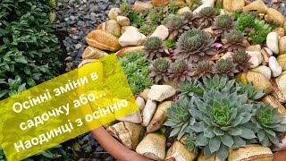 видео: Осінні зміни в садочку. Або наодинці з осінню... картинка: Осінні зміни в садочку. Або наодинці з осінню...