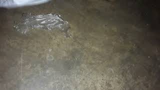 My Fast Unboxing Glaps