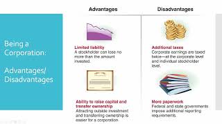 Financial Accounting Chapter 10 Stockholders' Equity Wealth