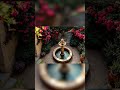 Create Your Own Mediterranean Courtyard
