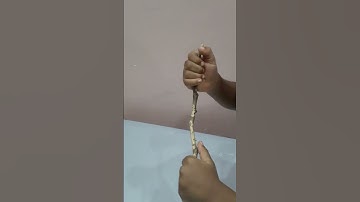 Reverse Video of Broken Dry Stick - #shorts #reversevideos