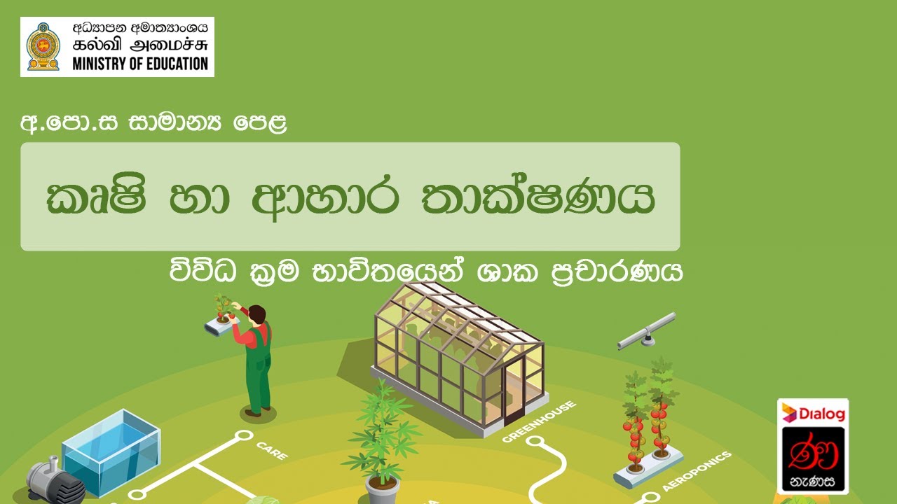 විවිධ ක්‍රම භාවිතයෙන් ශාක ප්‍රචාරණය | කෘෂි හා ආහාර තාක්ෂණය | 11 ශ්‍රේණිය