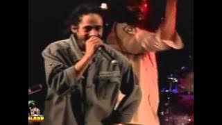 Damian Marley - War / No More Trouble (Live)