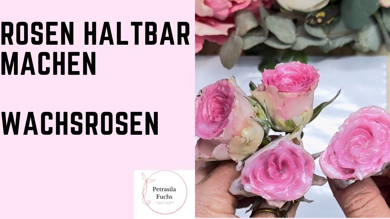 Rosen Länger Haltbar Machen
