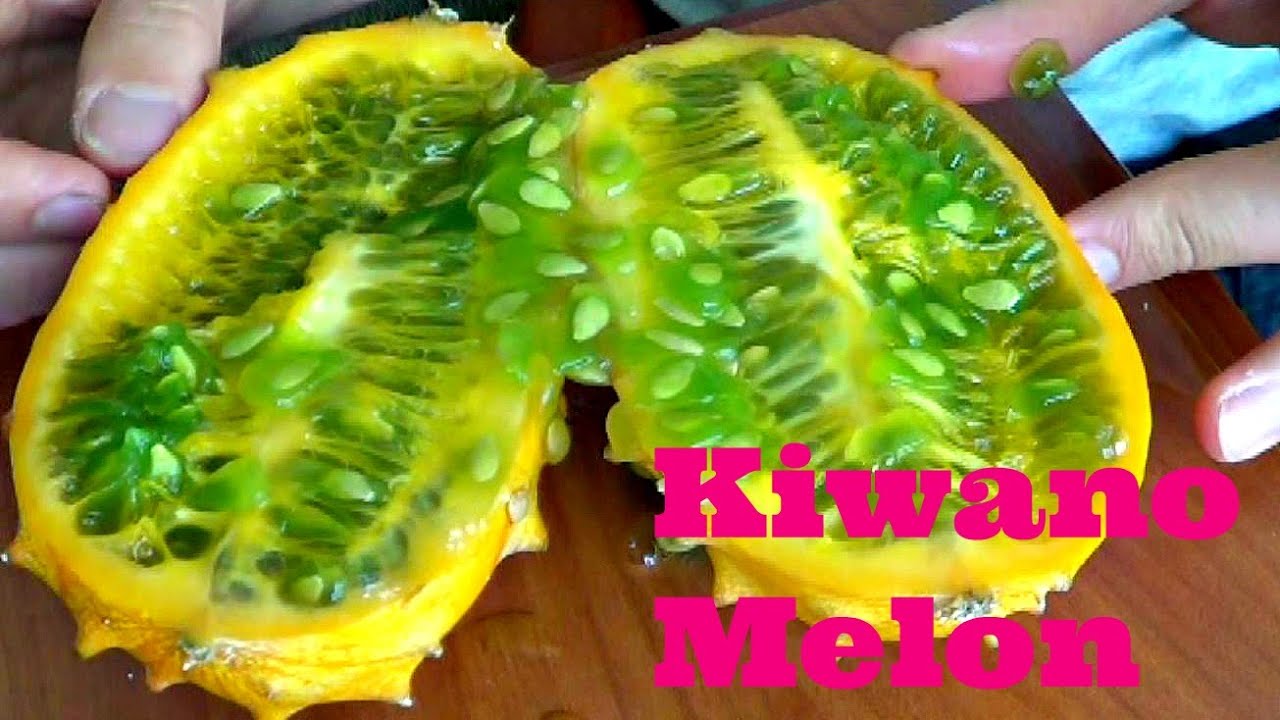 Kiwano Melon Review Weird Fruit Explorer Ep 120 YouTube