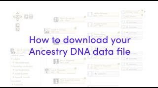 How to download your Ancestry DNA raw data file