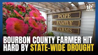 'If you want to gamble, go farming': Bourbon County farmer hit hard by drought