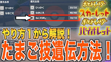 特別たまご技 Youtube 特別たまご技 Youtube