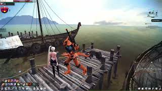 Vindictus fps problem 2