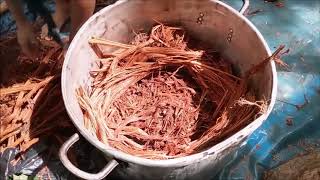 Making Ayahuasca