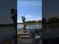 Clutch TOURNAMENT Cull Flipping